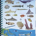 Look & Sea Caribbean - Mike's Dive Store