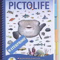 Marine Pictolife Western Tropical Atlantic (incl. Caribbean) -Identification Guide - Mike's Dive Store