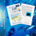 Safaga - Egyptian Red Sea -Dive Guide - Mike's Dive Store