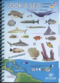 Look & Sea Caribbean