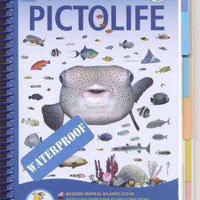 Marine Pictolife Western Tropical Atlantic (inc Caribbean) ID Guide