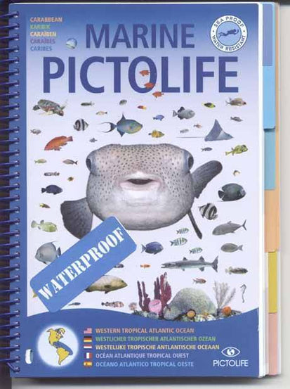 Marine Pictolife Western Tropical Atlantic (incl. Caribbean) -Identification Guide - Mike's Dive Store